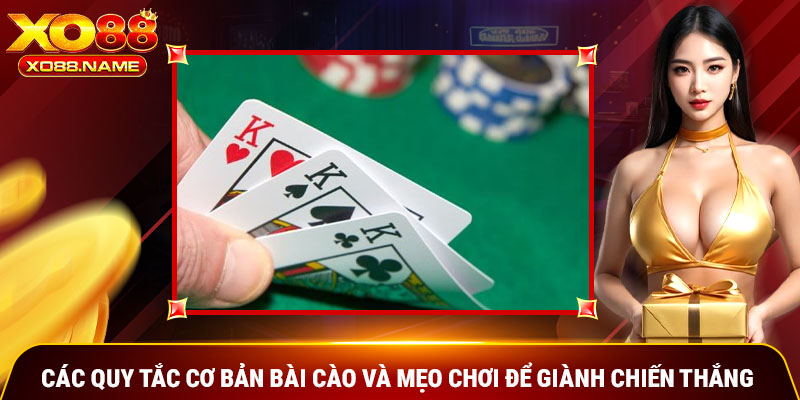 bài cào